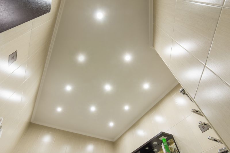 Electrical and Lighting Contractors